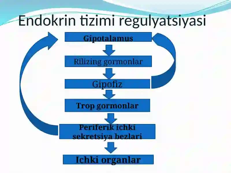 Bolalarda endokrin tizimi anatomo-fiziologik xususiyatlari va kasalliklar semiotikasi 4