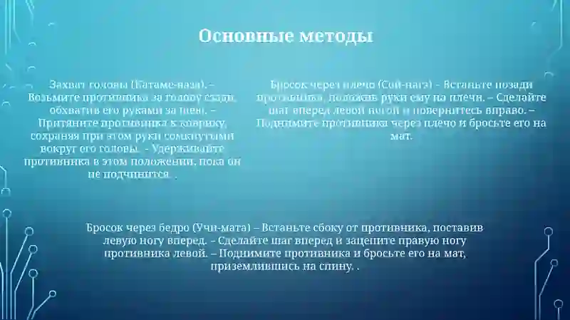 Дзюдо 4