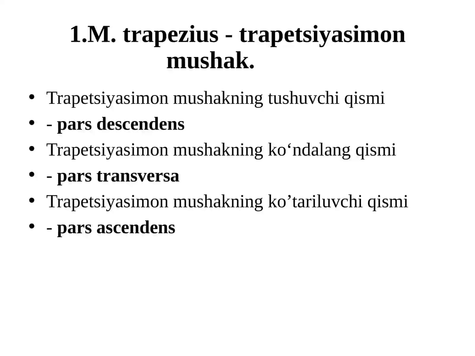 MUSHAKLARTASNIFl 4