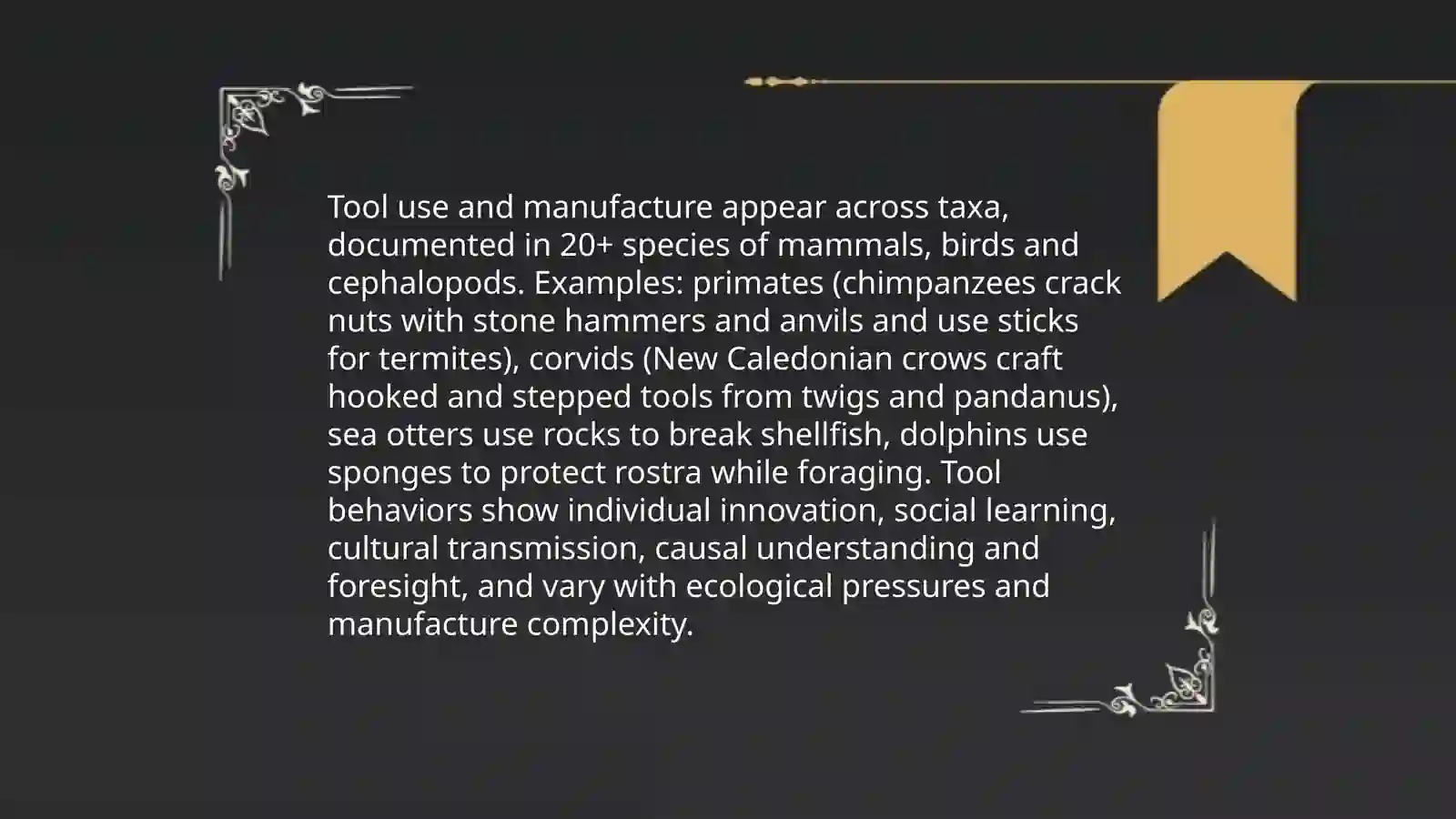 Animal intelligence 4