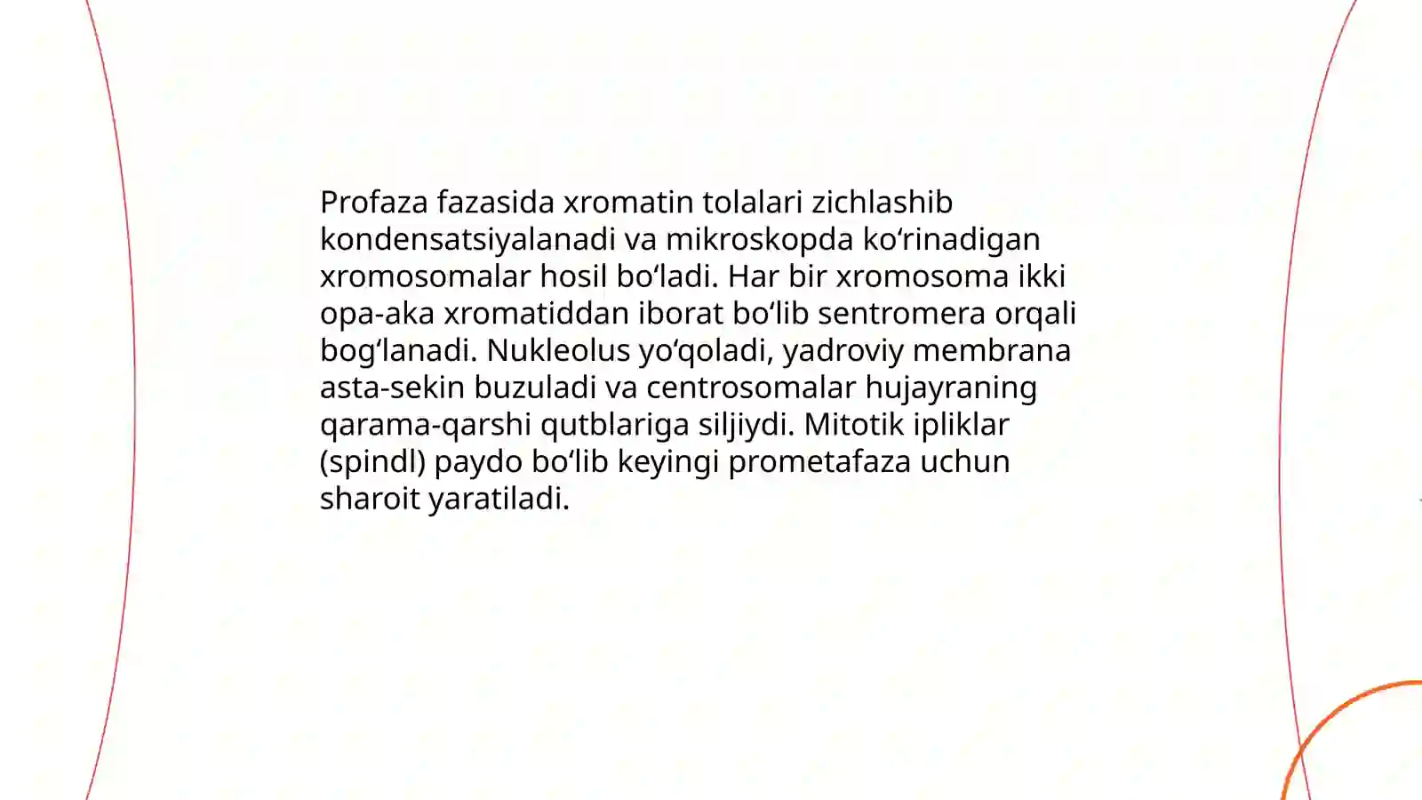 Mitoz 4