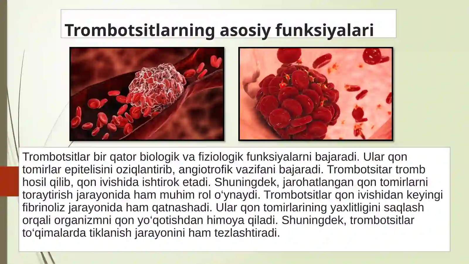 Trombotsitlar 4