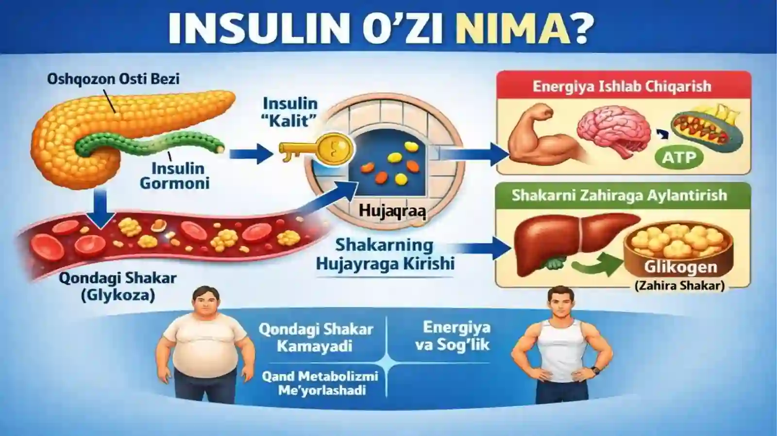 Insulinishlabchiqarishtexnologiyasi 4