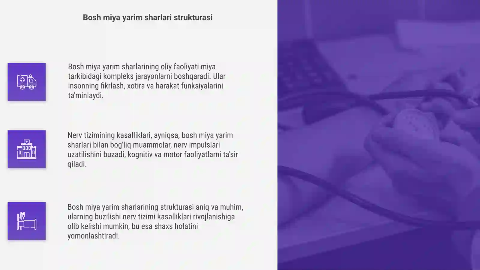 Bosh miya yarim sharlari: asosiy ma'lumotlar 4