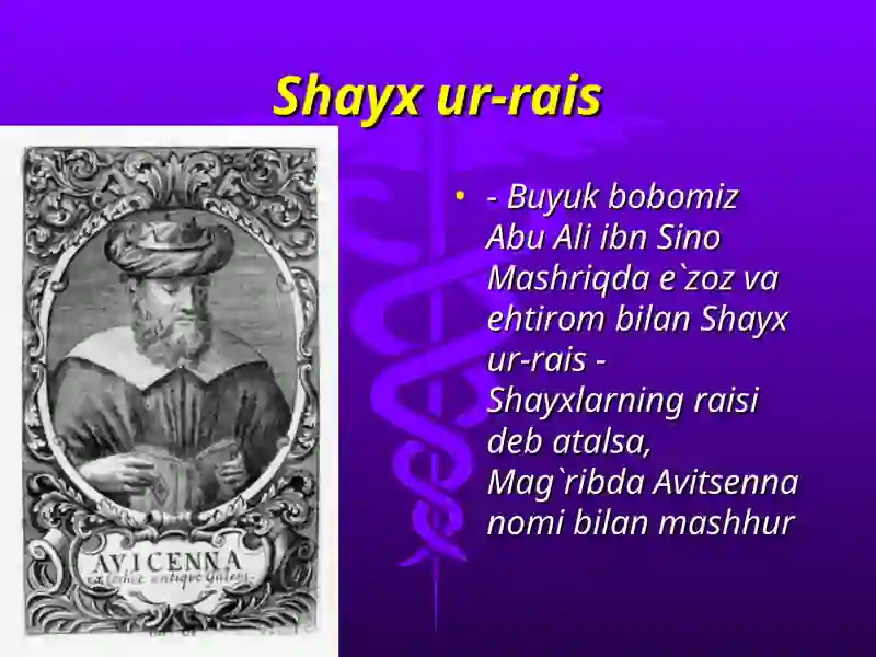 Abu Ali ibn Sino 4