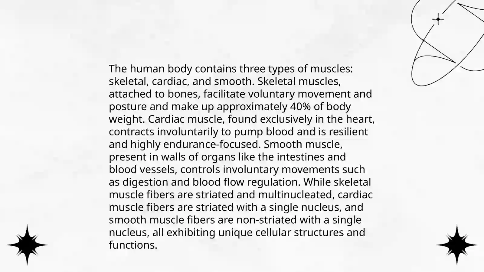 Anatomy of Muscle Tissue Lecture 4