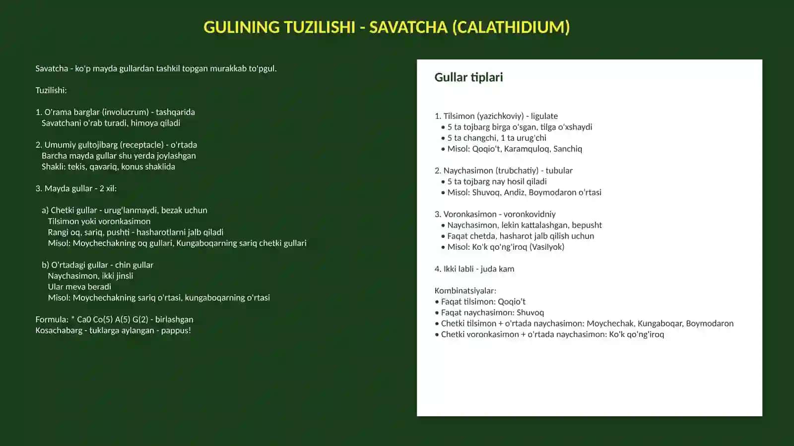 QOQIO'TDOSHLAR OILASI - ASTERACEAE 4