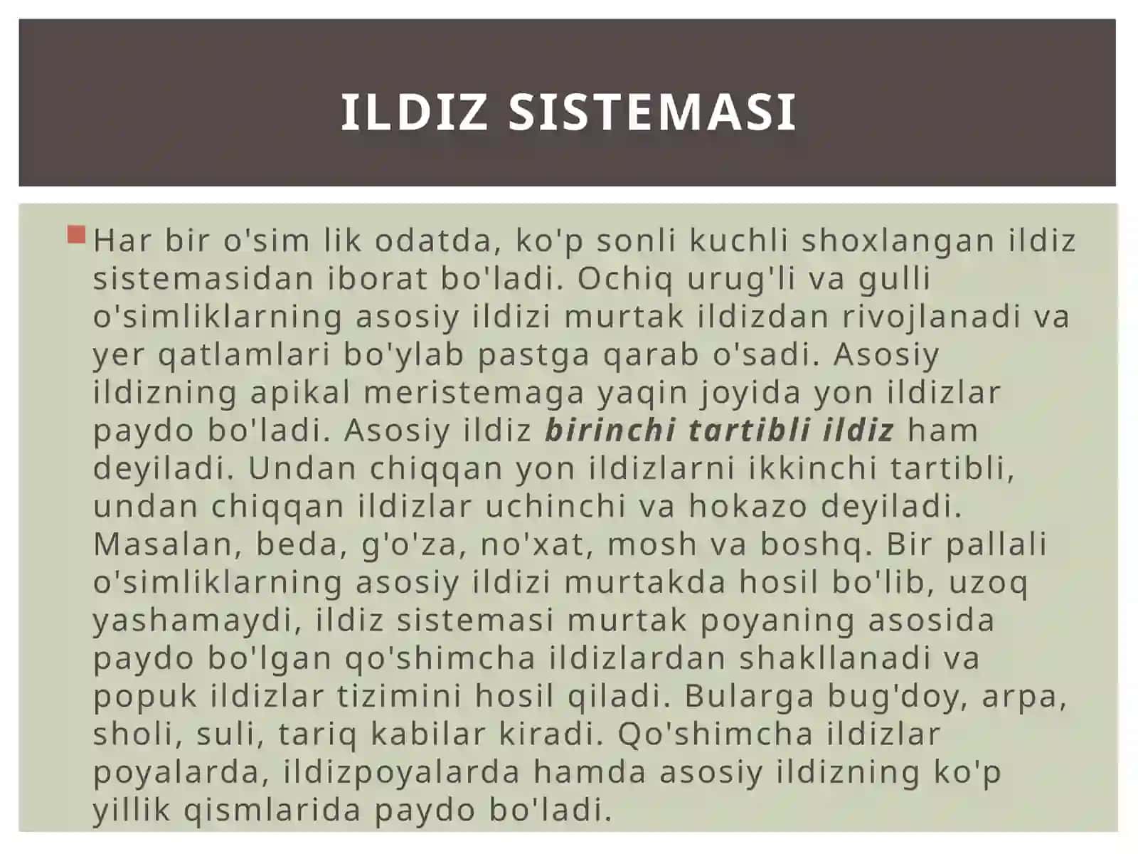 Ildizlar 4