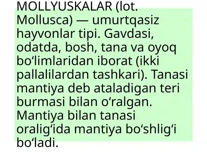 Moluskalar tipi (Mollusca) 4