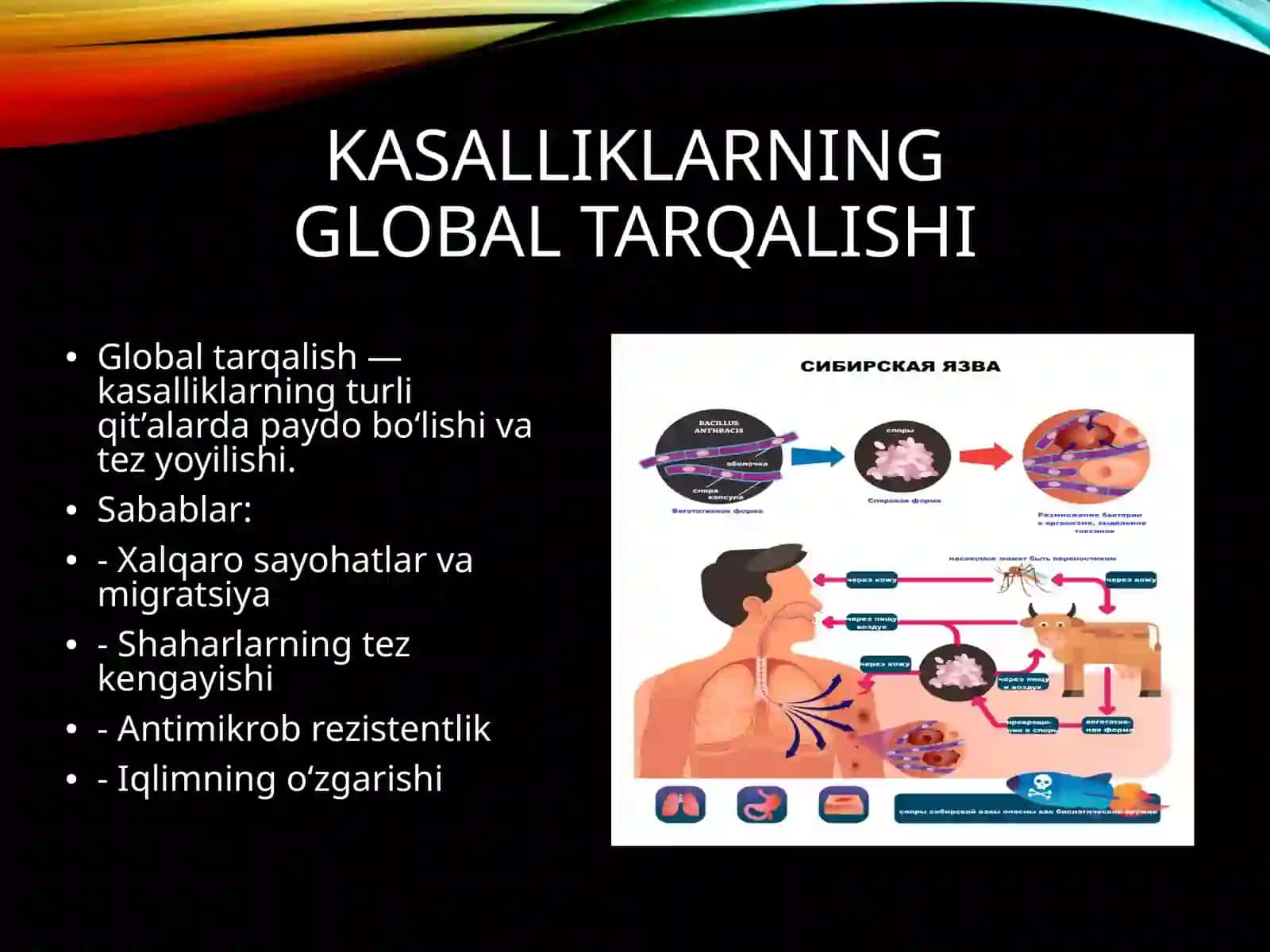 Kasallikning global tashvishi. Iqlim o'zgarishlarining tibbiy oqibatlari 4