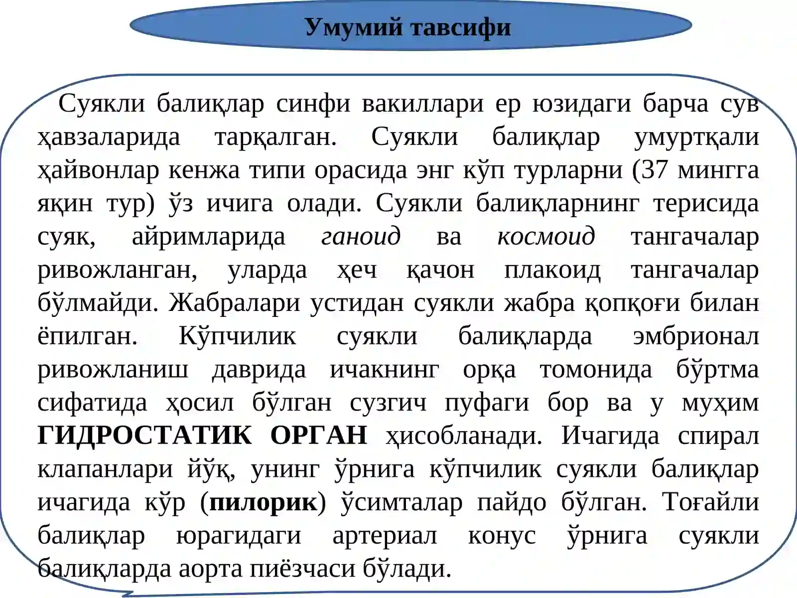 Суякли балиқлар (Osteichthyes)синфи 4