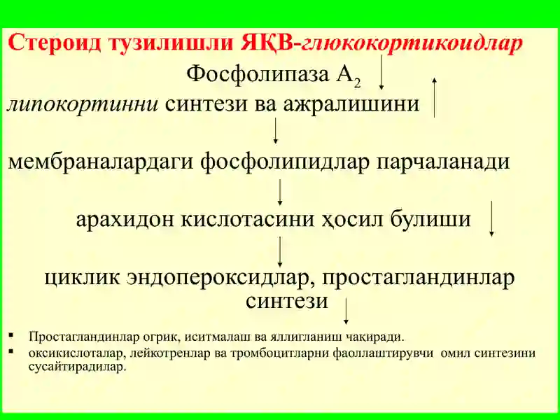 Яллигланишга карши воситалар 4