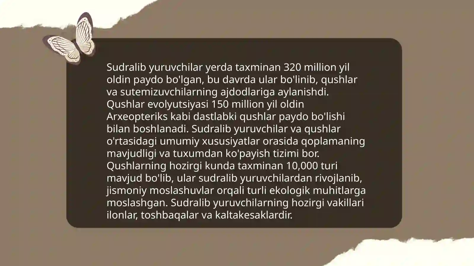 Tillarning genealogik tasnifi 4