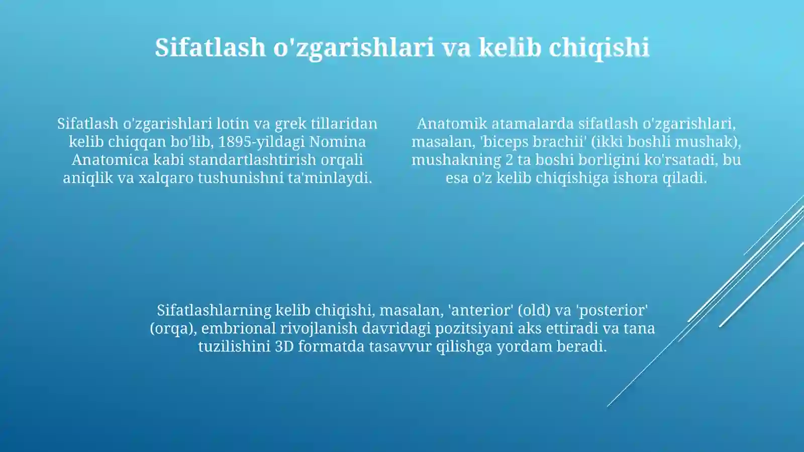 Anatomik terminlar tuzish 4