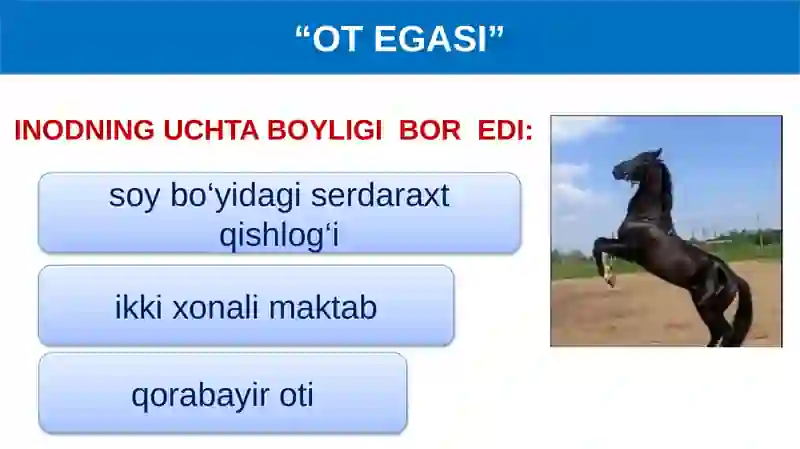 SHUKUR XOLMIRZAYEV 4