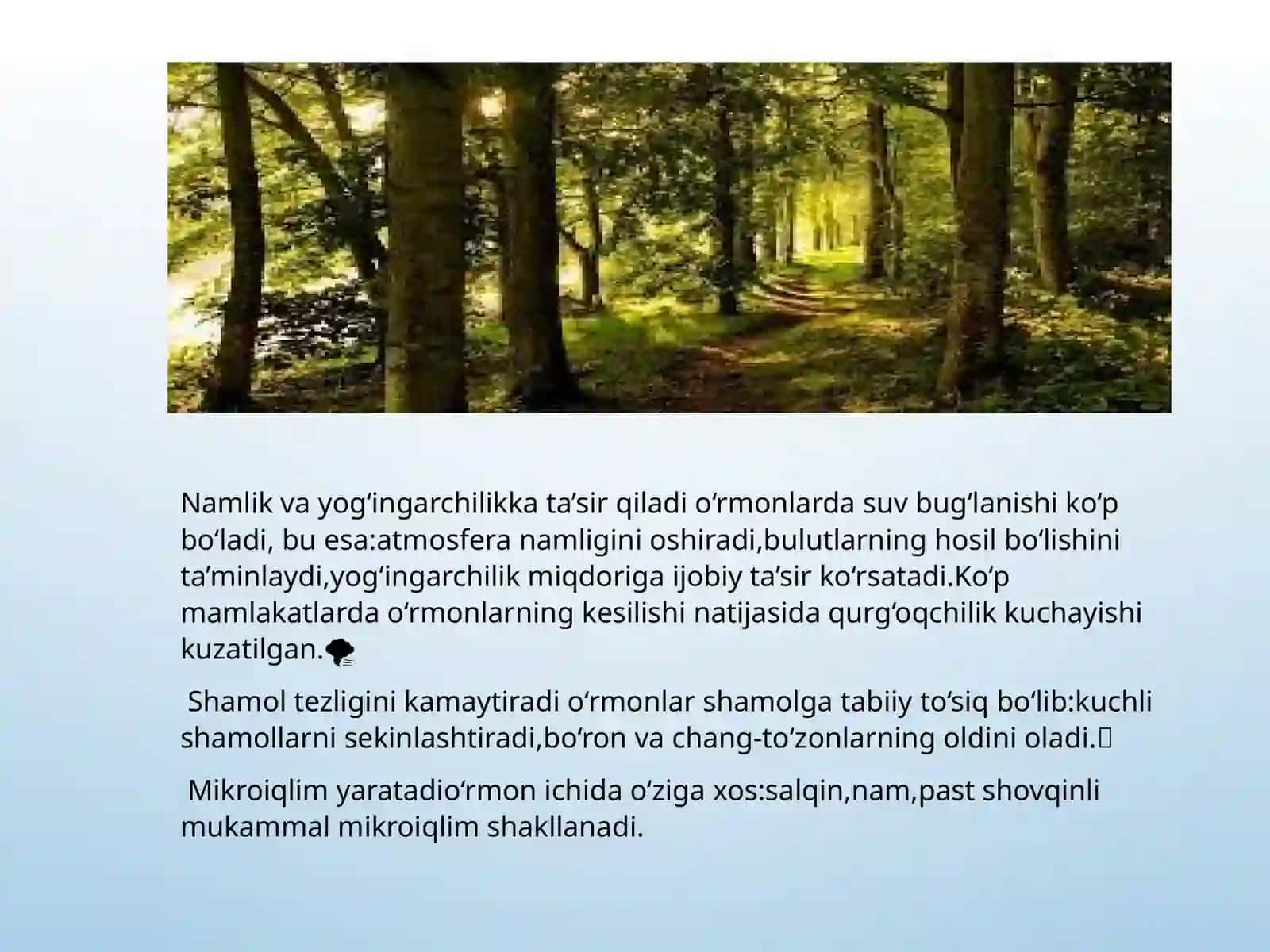 O‘rmonlarning ekologik ahmiyati 4