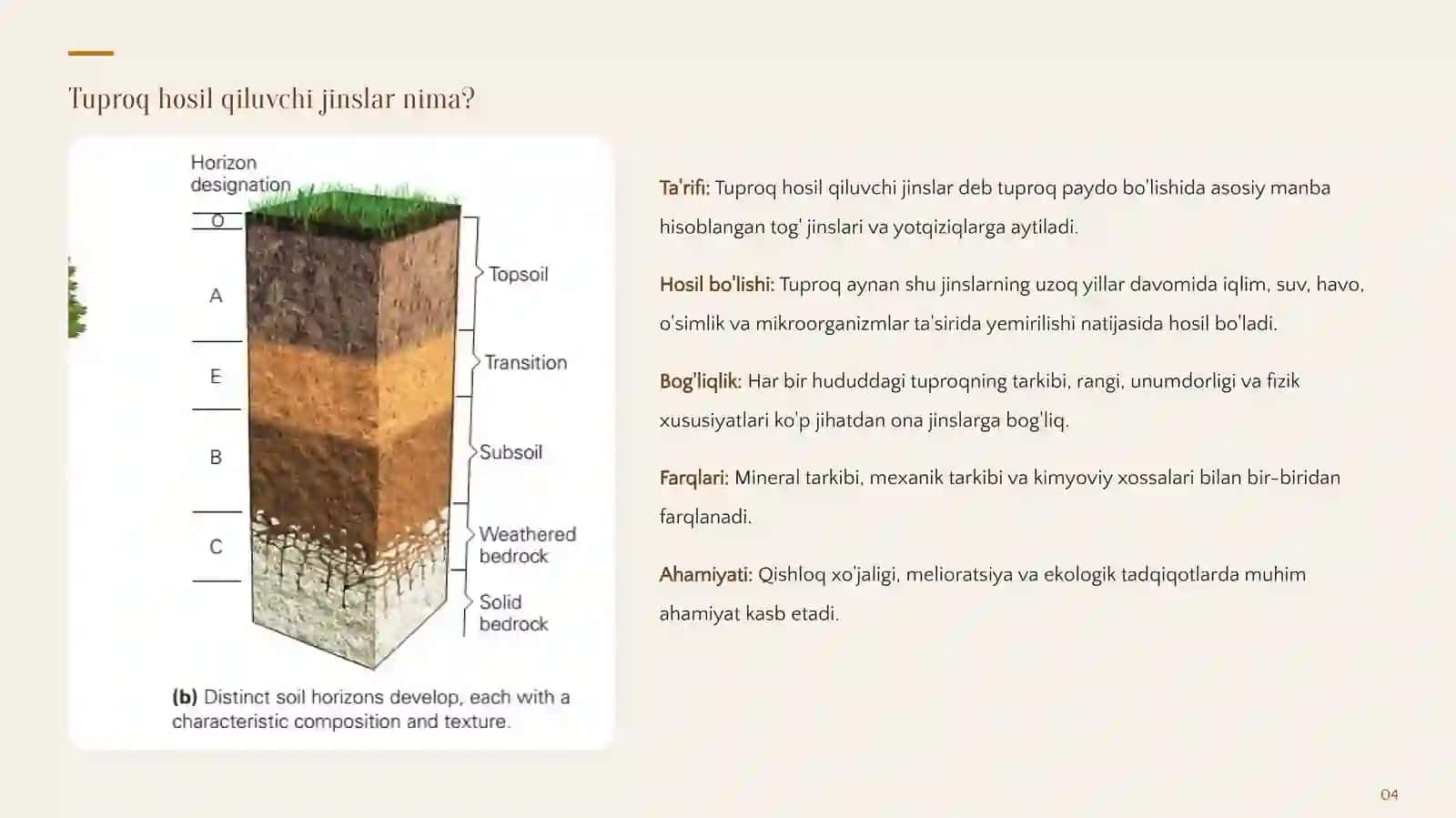 TUPROQ HOSIL QILUVCHI JINSLAR 4