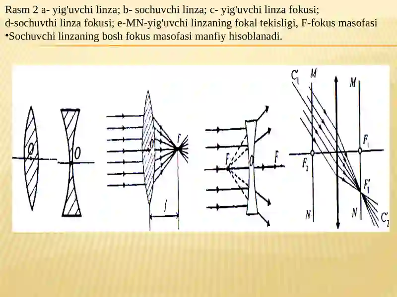 Linzalar 4