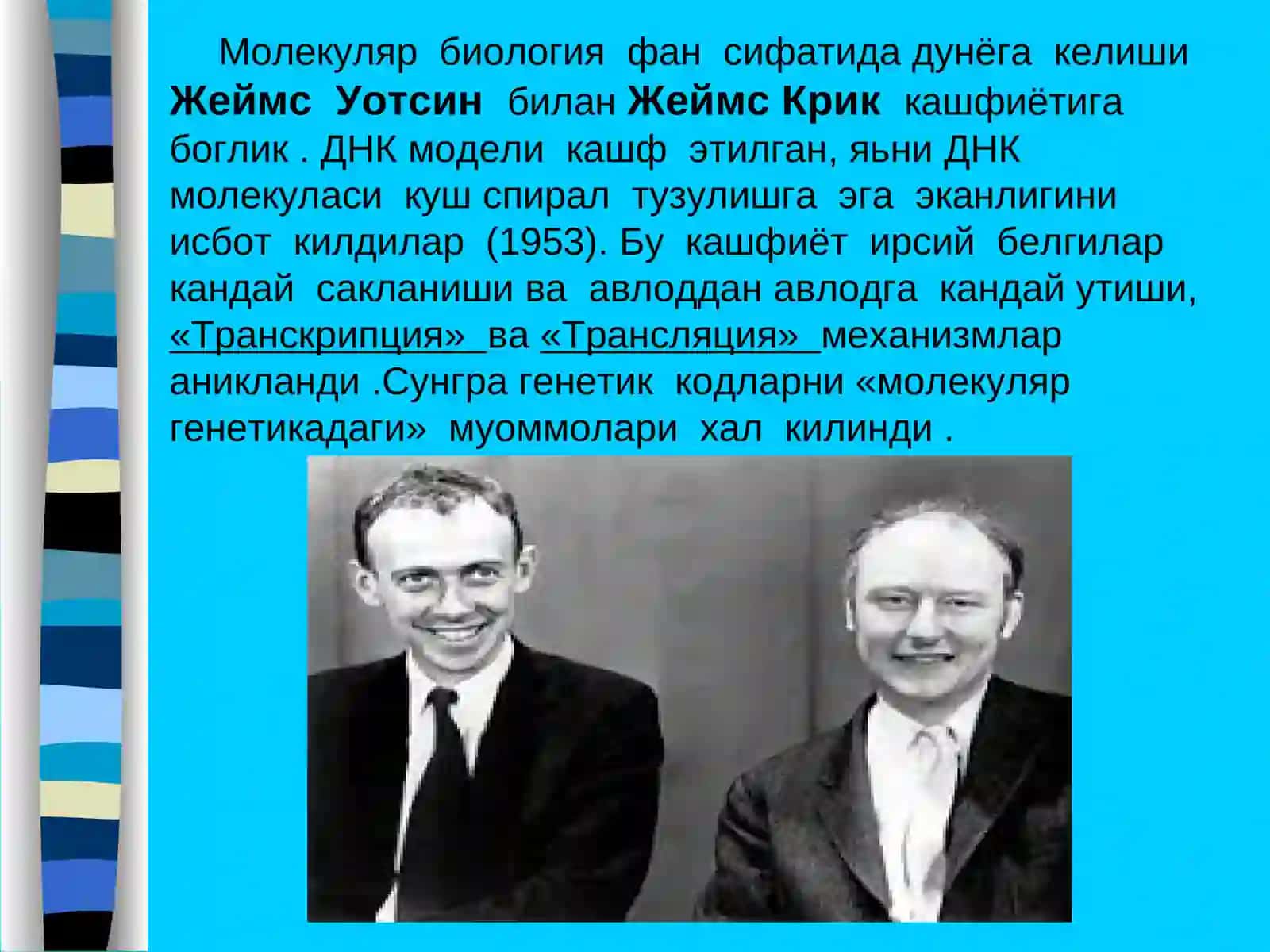 Молекуляр биология 4