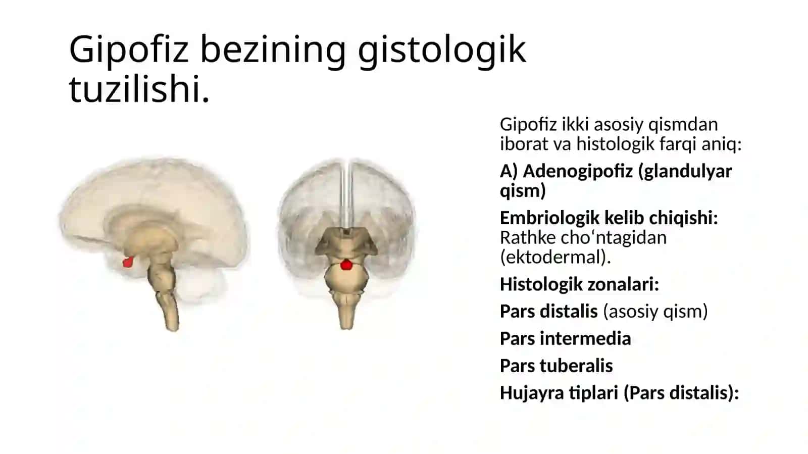 Davolashishifakulteti 4