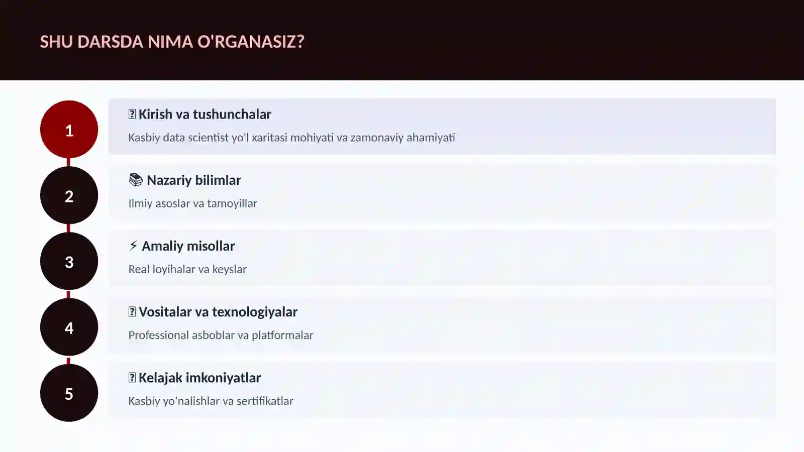 Kasbiy data scientist yo'l xaritasi 4