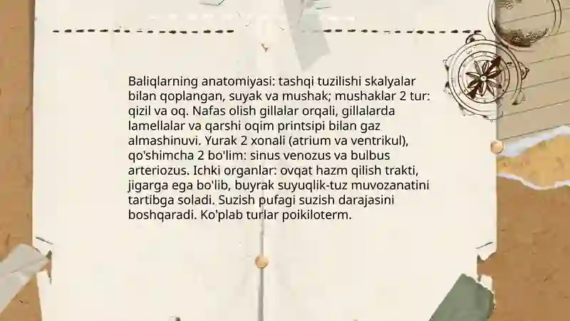 Baliqlar 4