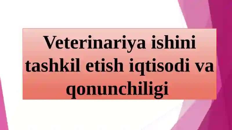 KAMOLOV ISMATILLONING MALAKAVIY AMALIYOTDAN TAYYORLAGAN TAQDIMOTI 4