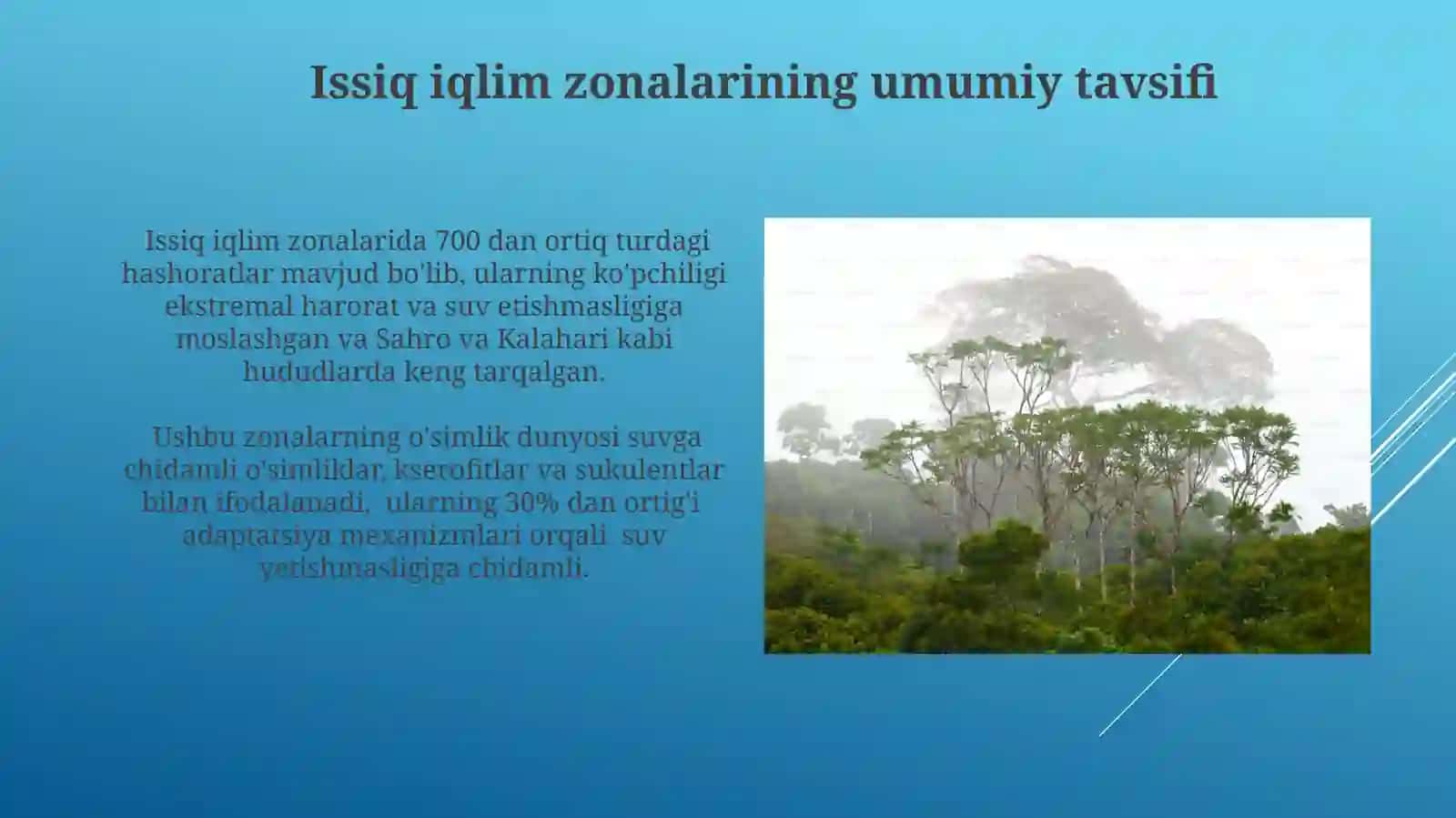 Issiq iqlim mintaqalarining tabiiy zonalaridagi tirik organizmlar tarqalishi 4