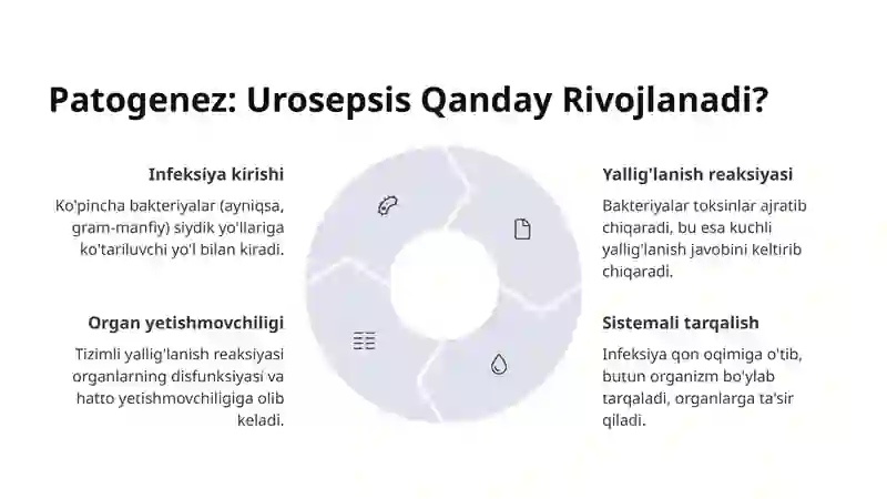Urosepsis 4