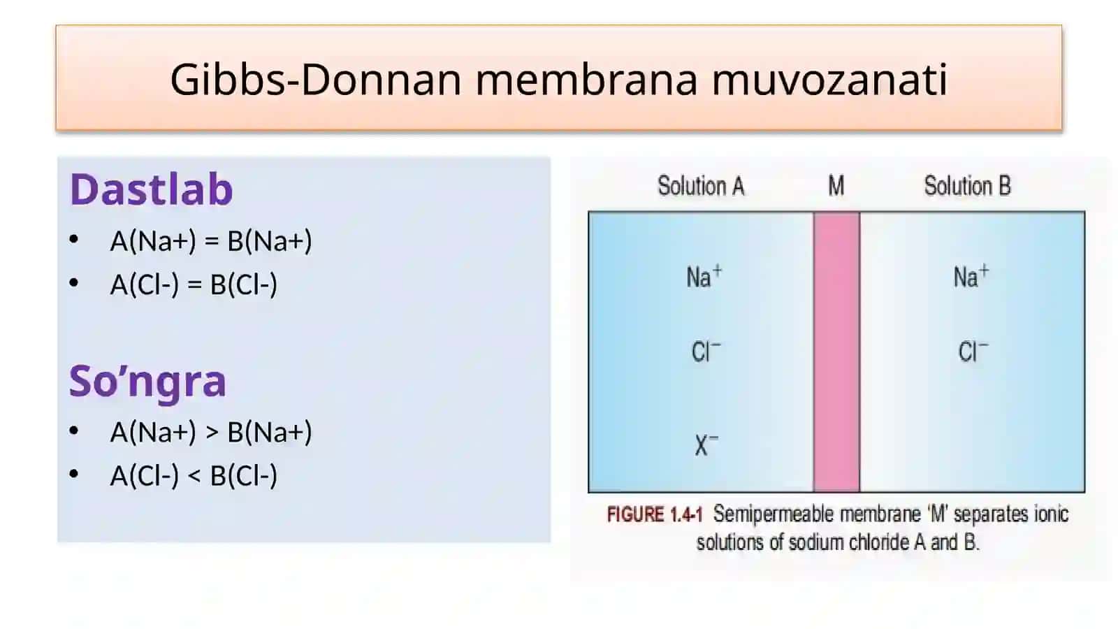 Fiziologiya 2 4