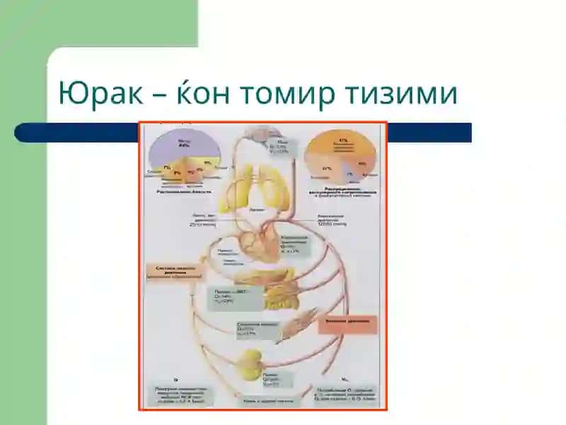 Юрал – ўтказувчанлик 4