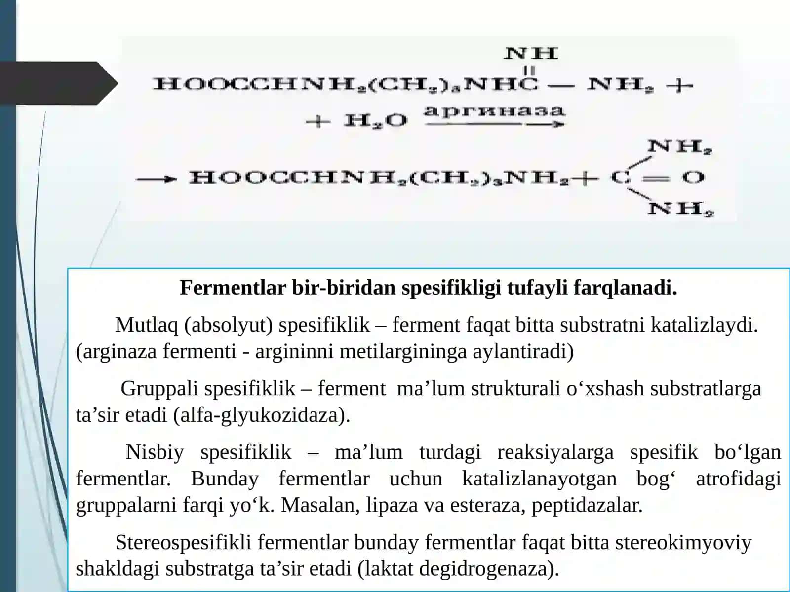 Oziq-ovqat sanoatida fermentlar va ularning texnologik axamiyati 4