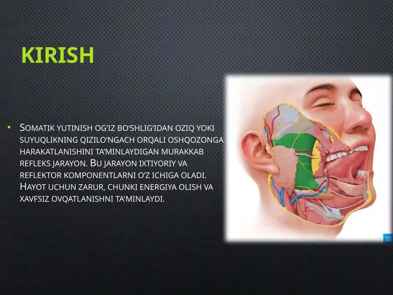 Mavzu:Somatik Yutinish Mexanizmi 4
