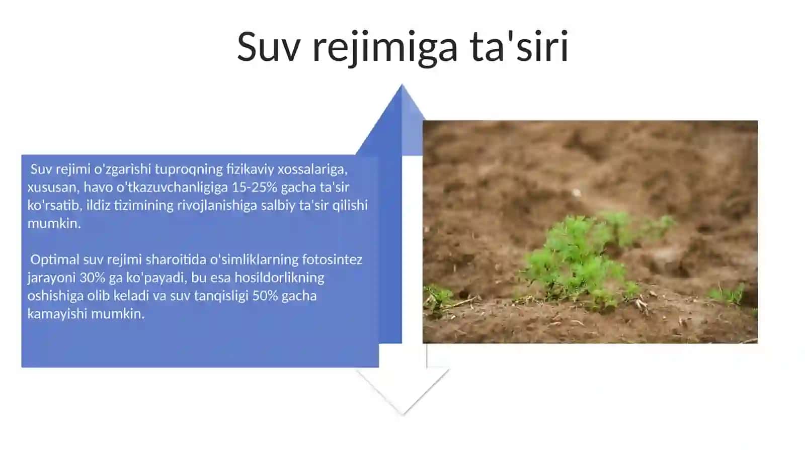 Yerga asosiy ishlov berish va usimliklarni usishi hamda rivojlanishga tasiri 4