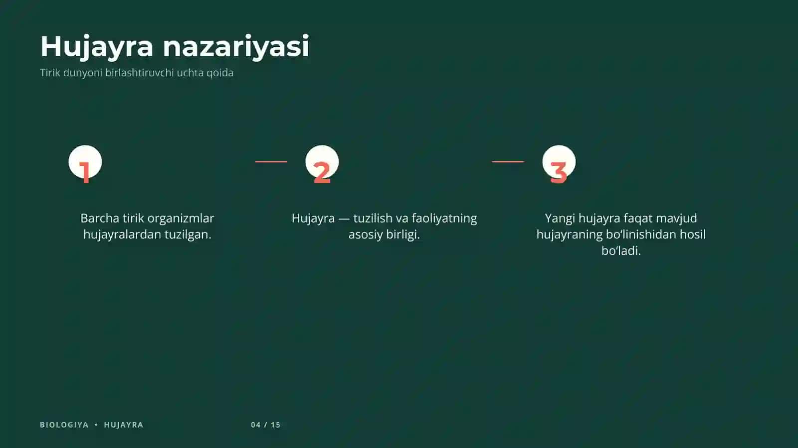 Taqdimot hujayra 4