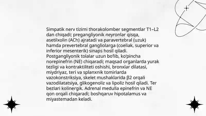 Vegetativ nerv tizimining asosiy qismlari fiziologiyasi 4