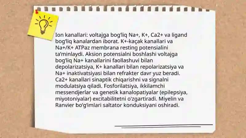 Nerv sistemasining xususiy fiziologiyasi 4