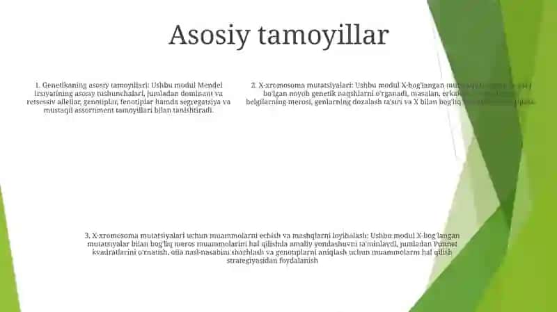 Xramasoma Mutatsiyalariga Doir Masala Va Mashqlar Tuzish Hamda Yechish Metodikasi 4