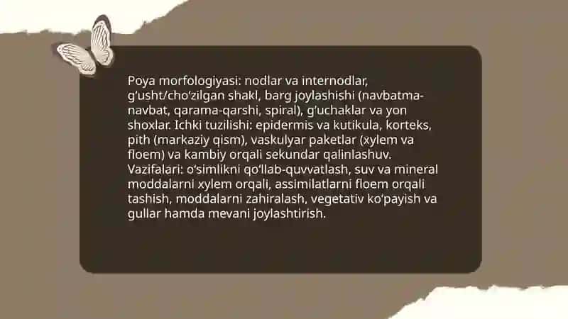 O'simliklarning vegetativ va generativ organlari va jinsiy koʻpayish 4