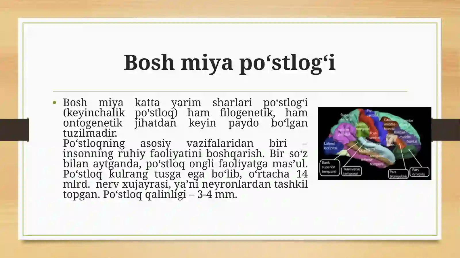 Bosh miya 4