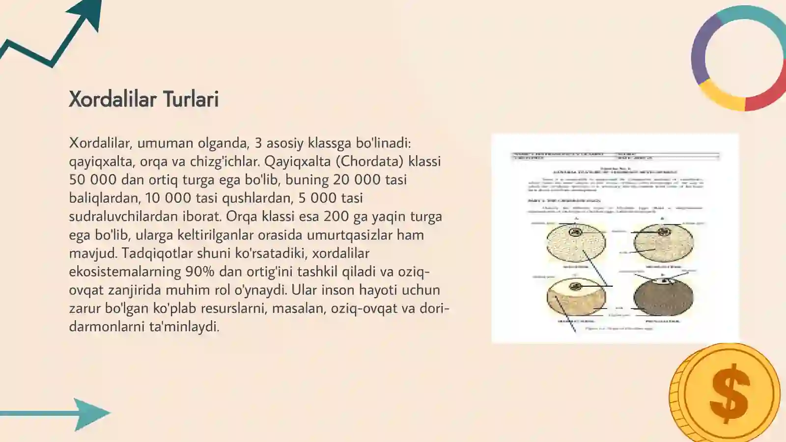 XORDALILAR TIPI LICHINKA XORDALILAR KENJA TIPI SISTEMATIKASI 4