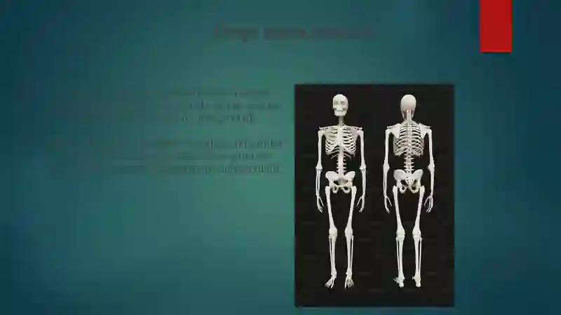 Suyak va bog'imlarning tizimli kasalliklari 4