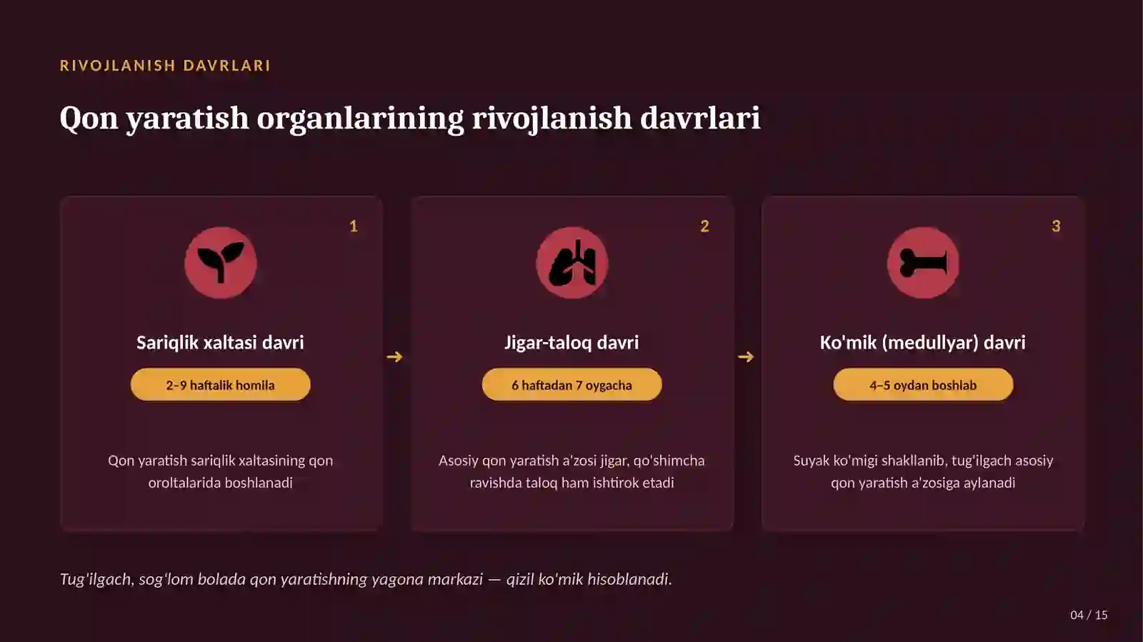 Bolalarda Qon Yaratish Tizimining Anatomo-Fiziologik Xususiyatlari | 15 Slaydli Tibbiy Taqdimot 4