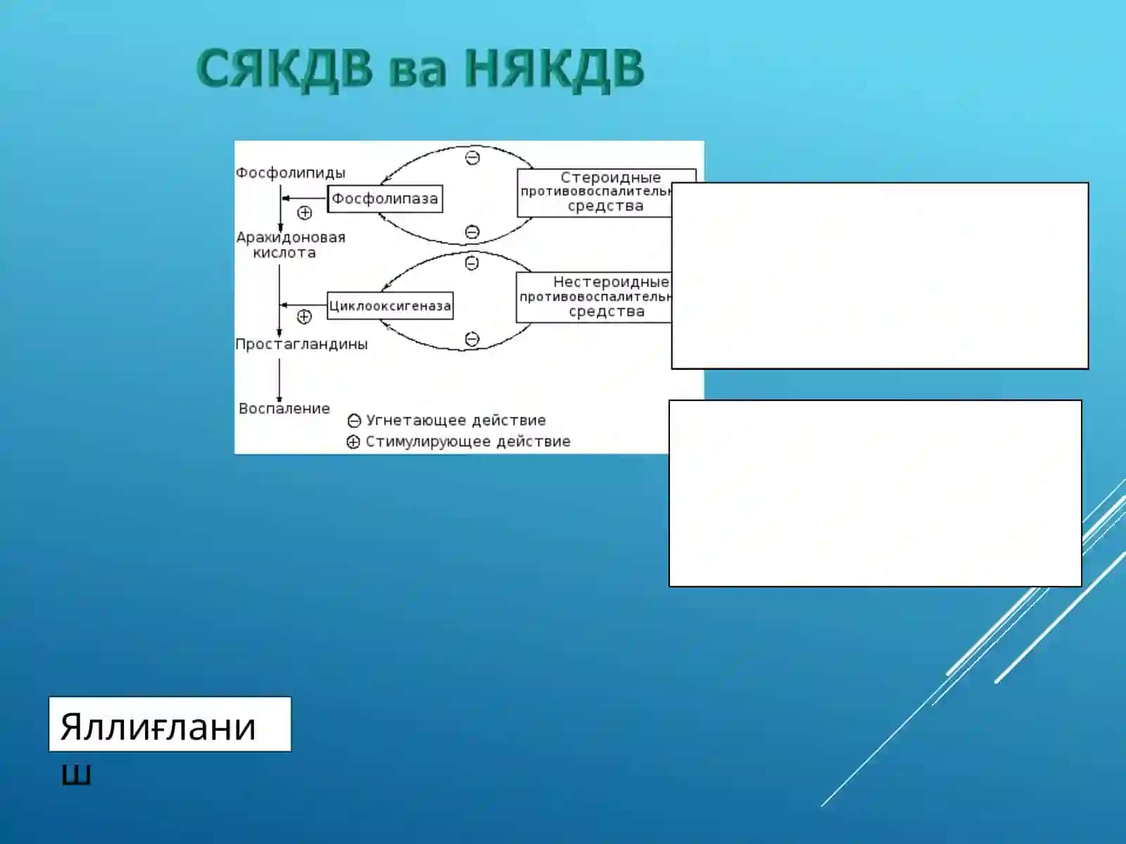 Стероид ва ностероид яллиғланишга қарши дори воситалари 4