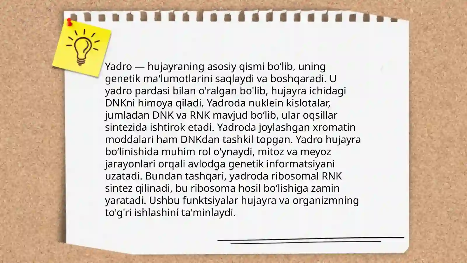 Eukariot Hujayralar 4