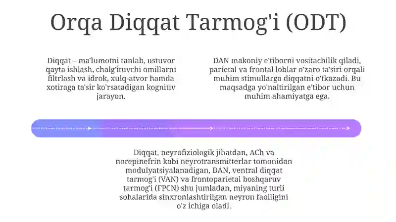 Diqqat haqida tushuncha va uning nerv fiziologik asoslari 4