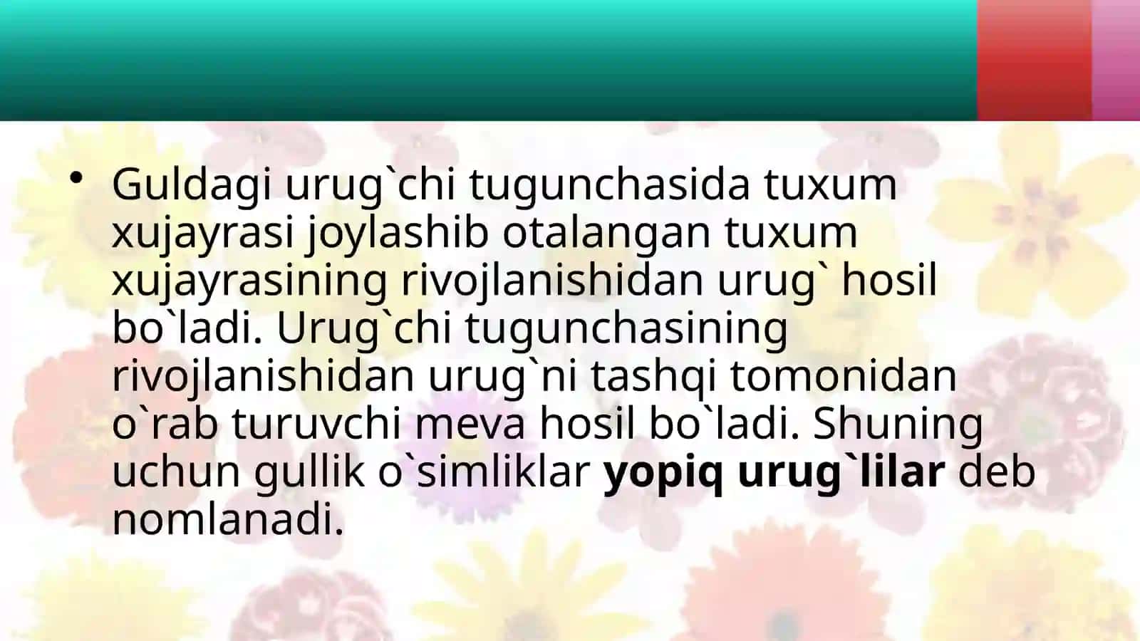 YOPIQ URUG`LI(ANGIOSPERMAE)O'SIMLIKLAR BILAN UMUMIY TANISHISH 4