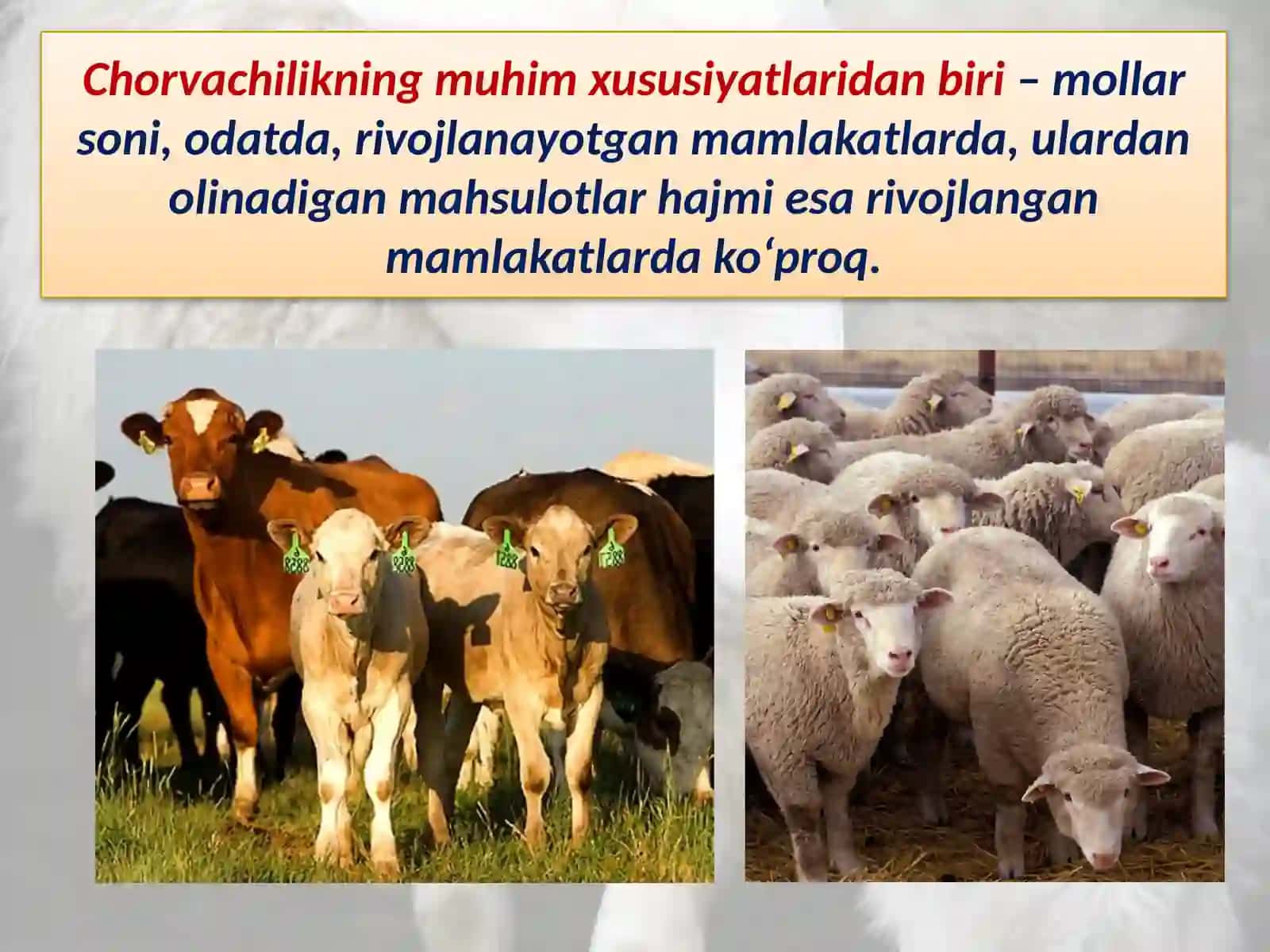 Baliq va boshqa dengiz mahsulotlari 4