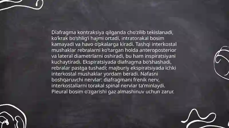 Nafas olish tizimi 4