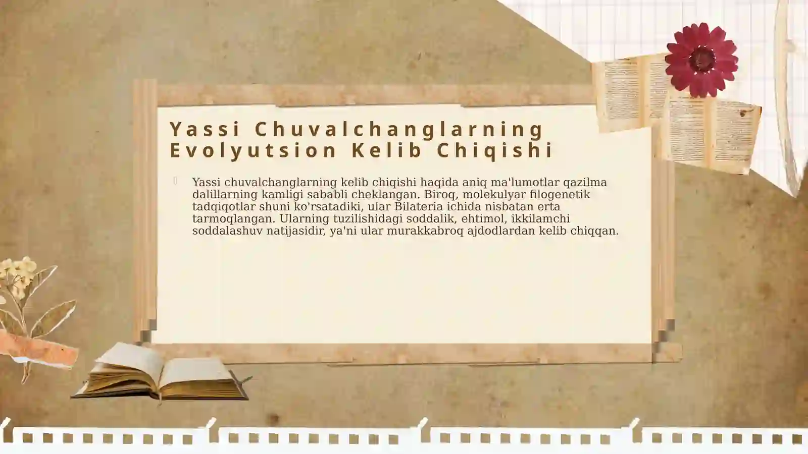 Yassi Chuvalchanglar Filogenezi 4